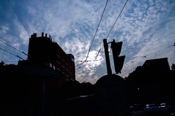 IMG_2313-编辑