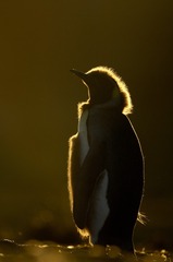 IMGP5834_