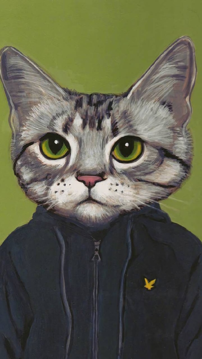 纹身猫,橘猫乱入走一波