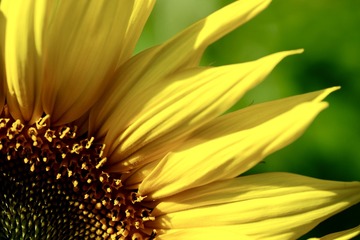 367110E2-801A-4495-9A34-43CD042180BC/L0/001