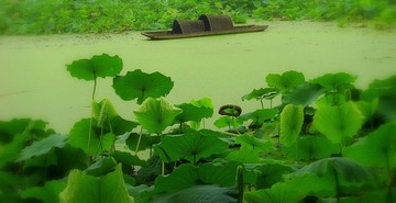 景＆物