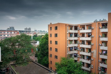 IMG_0249(1)