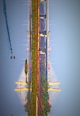 20005