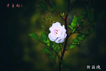 1408189