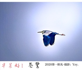 1188352