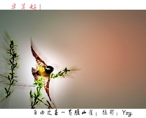 1301597