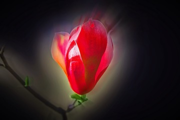 1301580