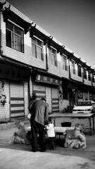 文化城7