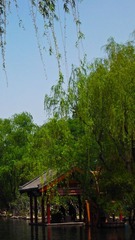 济南8