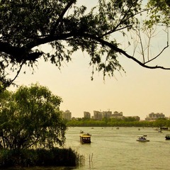 大明湖
