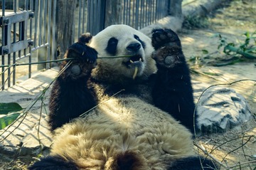 船3