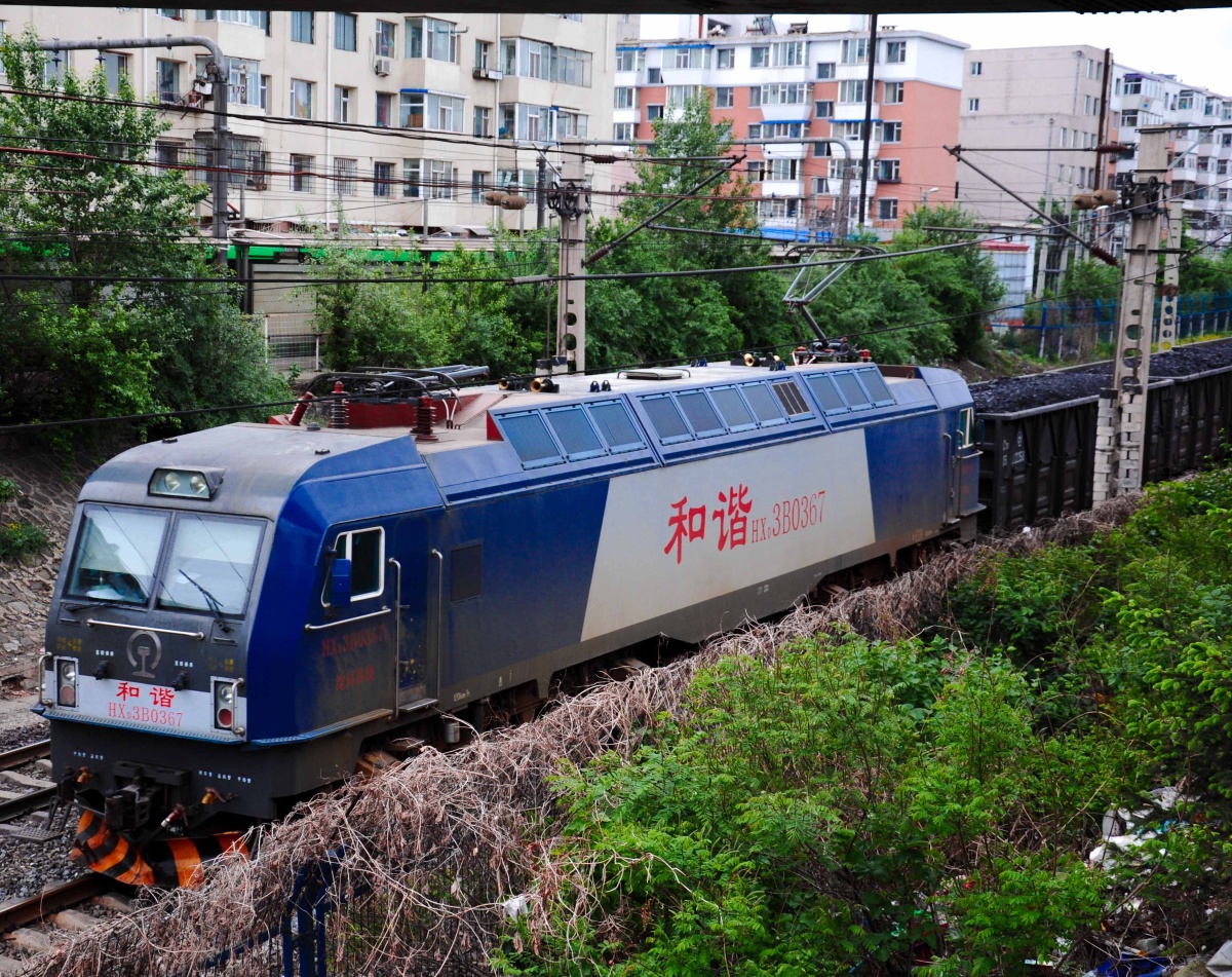 沈局春段 - 图虫网 - 最好的摄影师都在这