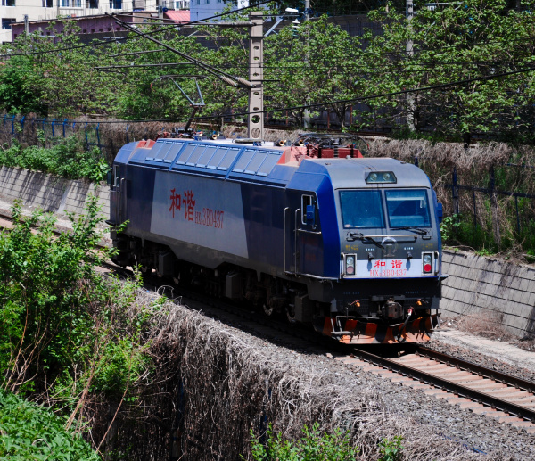 沈局春段的最新作品