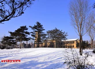 _DSC0114.jpg