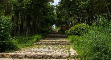 DSC01305-2