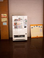 P6010034