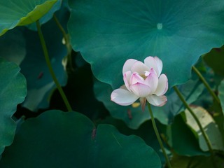P6010067