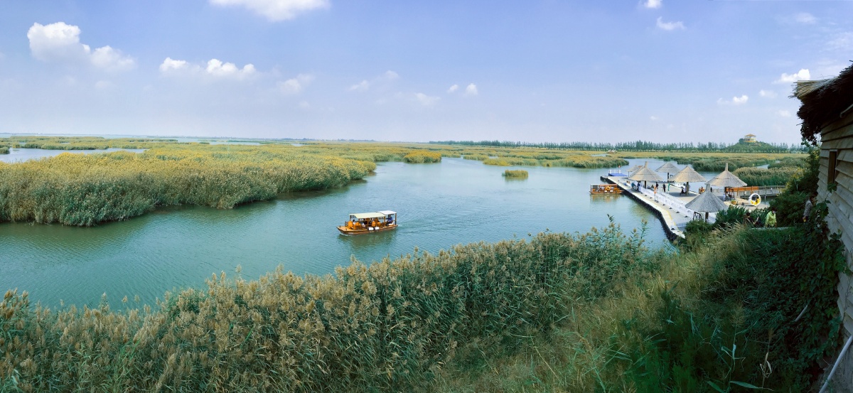 沙湖湿地公园