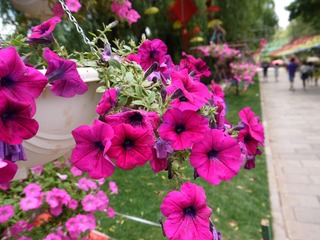 P1000691