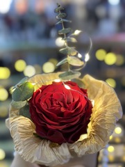 78F23F5C-4247-43C8-BC4E-1C281BDD9E49/L0/001