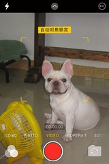 231BDCD4-A39F-4246-A6A9-7992C8AB2BCB/L0/001