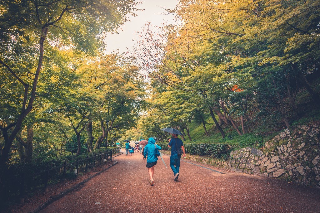 从清水寺出来，这条小路很是迷人，幻想着路两旁的叶子都红了，树下有两位穿和服的背影画面。等了很久，叶子没红，也没有单独两位的和服旅者经过，就匆匆拍下了这张照片。