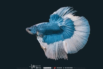 300930