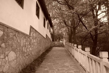 DSCF0530_