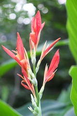 DSCF0546_