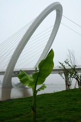 DSCF0786_