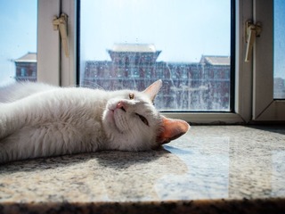 P1010040