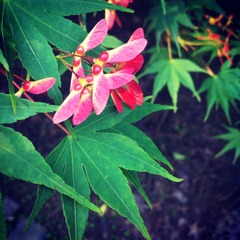 PIC_20140506_170449_A25