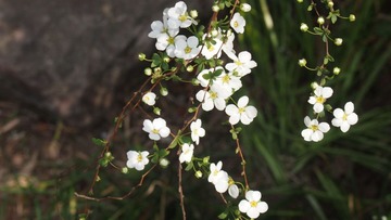 P1012965_看图王