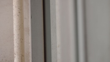 P1014855