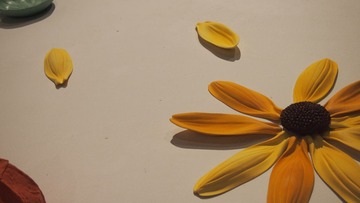 P1015320