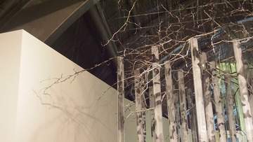 P1015479
