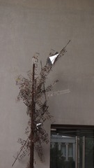 P1015616
