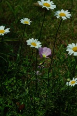 19642