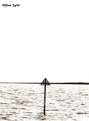 IMG_2675b