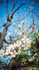 Vidi's Phone_20140315_011