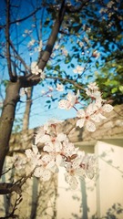 Vidi's Phone_20140315_023