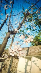 Vidi's Phone_20140315_024
