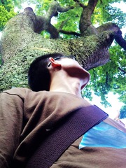 28082011469.jpg