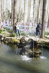 _SAM0782
