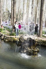 _SAM0784