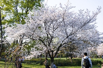 _SAM0985