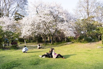_SAM1005