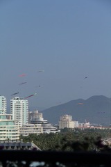 DPP_0039