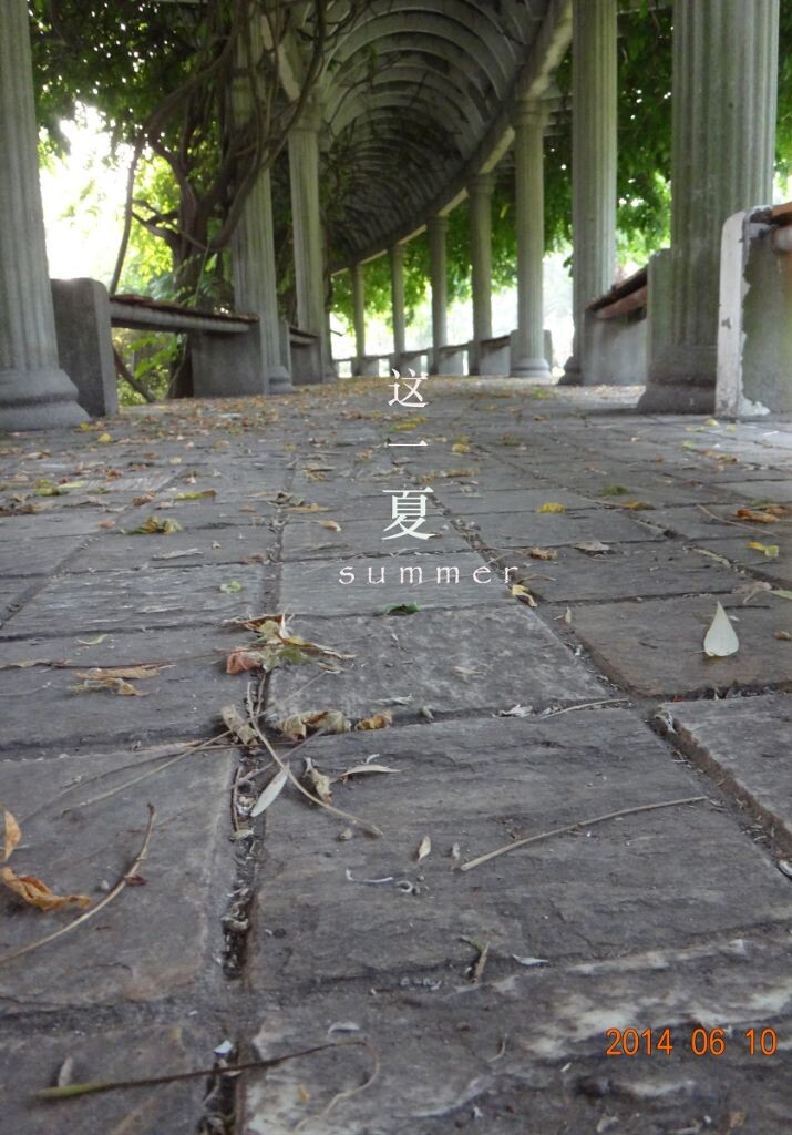这一个夏天，是毕业的季节，忘不了校园的静美，回忆曾经的大学时光。