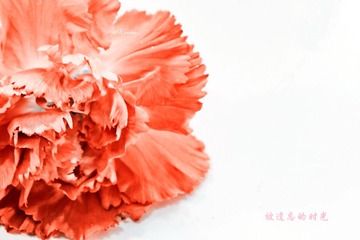 20110917-Remote00041-编辑_副本.jpg
